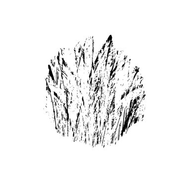 Vektör çizimi. Çim. Çim. Çim. El çizimi çimenler.