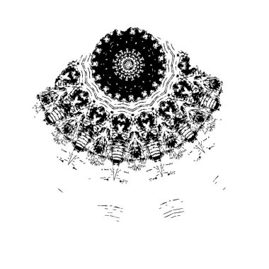 Vektör içinde karalama kaktüsünün el çizimi.