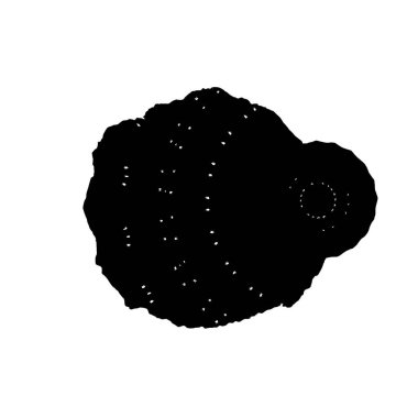 creative element of black brush stroke on white background 