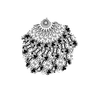 Siyah ve beyaz dokular. grunge soyut vektör yüzeyi 