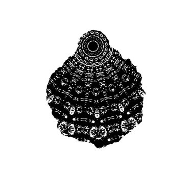 soyut siyah ve beyaz monokrom dokusu arkaplanı