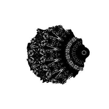 Beyaz arka planda siyah mürekkep fırçası darbesi. vektör illüstrasyonu.