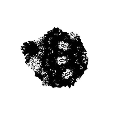 creative element of black brush stroke on white background