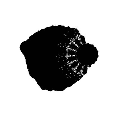 Siyah beyaz sembollü izole bir nesne. Yıldız kümesi ve ağ için altın stok sembolü.