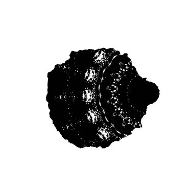 soyut grunge fırça darbesi, elle çizilmiş doku