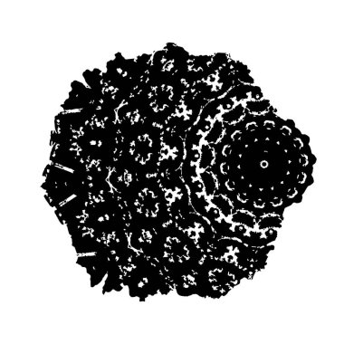 vektör mürekkebi grunge fırça darbesi.