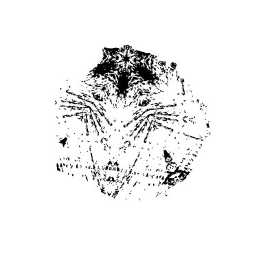 Stres tabakası dokusu, toz grunge, soyulmuş asfalt.