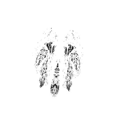 Siyah duman ya da beyaz arka planda buhar. buhar veya duman dokusu.