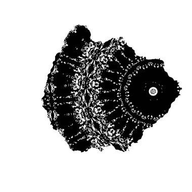 Bir ayçiçeğinin el çizimi vektör çizimi.