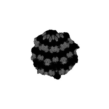 Beyaz arkaplanda izole edilmiş bir ağacın siyah silueti.