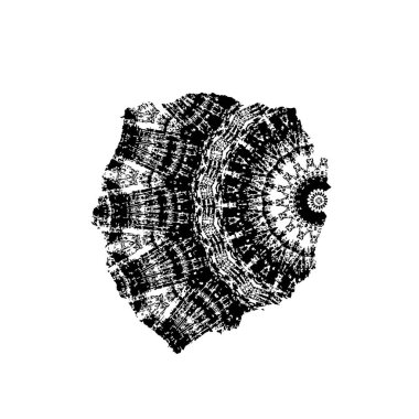 Beyaz arka planda siyah mürekkep fırça sıyrık.