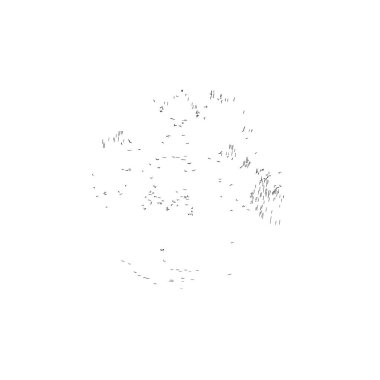 Beyaz arka planda siyah mürekkep fırça sıyrık.