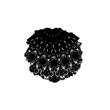 El çizimi ayçiçeği çizimi