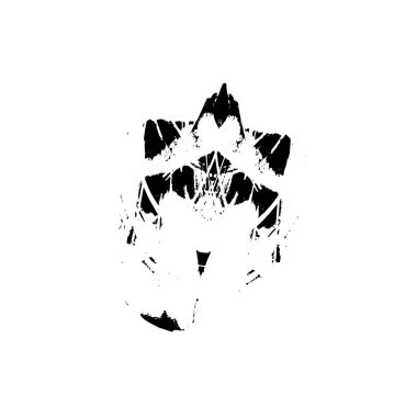 Soyut grunge siyah beyaz izole arkaplan. fırça darbesi