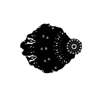 Siyah mürekkep fırçası darbelerinin vektör çizimi ve beyaz arka planda el boyası mürekkep izole. Tasarımınız için el çizimi ögesi