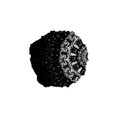 Elle çizilmiş element. Beyaz arkaplanda el boyası mürekkep izole edilmiş siyah mürekkep fırça darbelerinin vektör çizimi.