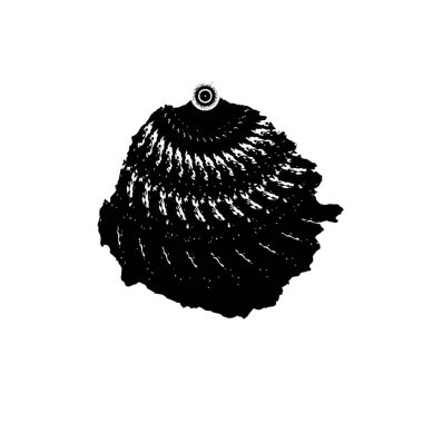 Beyaz arkaplanda el boyası mürekkep izole edilmiş siyah mürekkep fırça darbelerinin vektör çizimi.