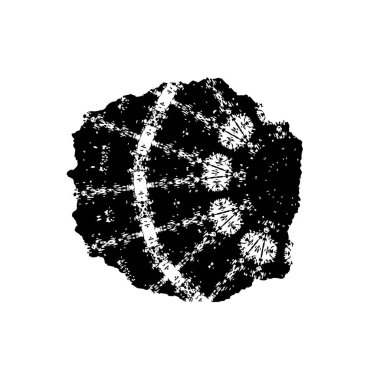 siyah ve beyaz vektör çizimi