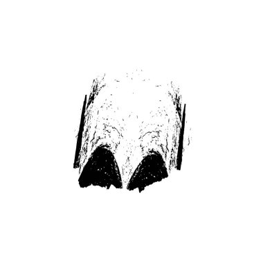 Beyaz arka planda kafatasının vektör el çizimi