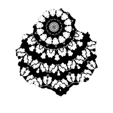 Beyaz arkaplanda el boyası mürekkep izole edilmiş siyah mürekkep fırça darbelerinin vektör çizimi.