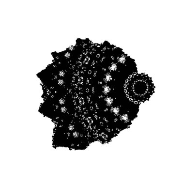 Siyah mürekkep fırça darbelerinin vektör çizimi elle boyanmış mürekkep ve beyaz arka planda siyah izole. el çizimi tasarım elemanları.