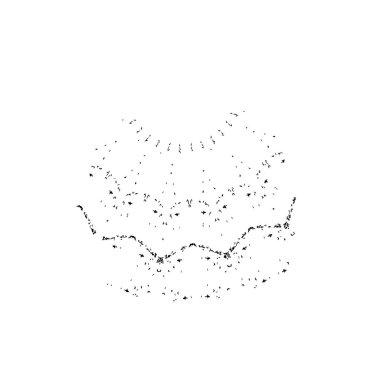 Siyah mürekkep fırça darbelerinin vektör çizimi elle boyanmış mürekkep ve beyaz arka planda siyah izole. el çizimi tasarım elemanları.