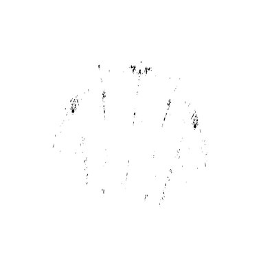 Beyaz arkaplanda grunge ögesi, soyut vektör çizimi