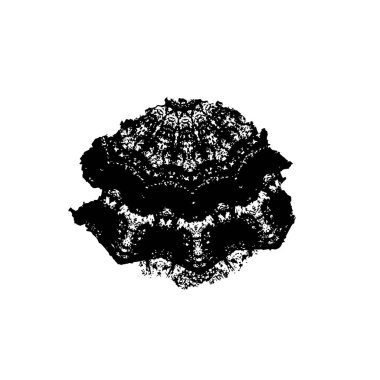 Siyah mürekkep fırça darbelerinin vektör çizimi elle boyanmış mürekkep ve beyaz arka planda siyah izole. el çizimi tasarım elemanları.