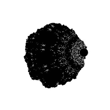 Beyaz arkaplanda grunge ögesi, soyut vektör çizimi