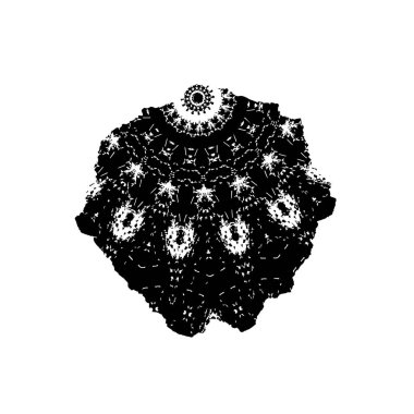  vektör el fırça darbesi. 