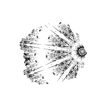  vektör el fırça darbesi. 