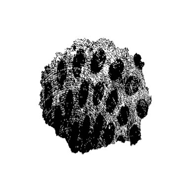  vektör el fırça darbesi. 