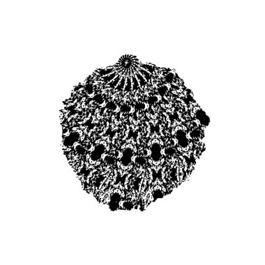  vektör el fırça darbesi. 