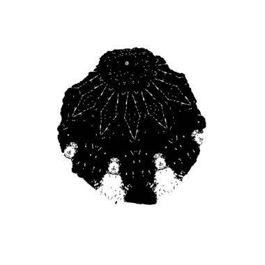 beyaz arkaplanda siyah grunge mürekkep fırçası darbesi