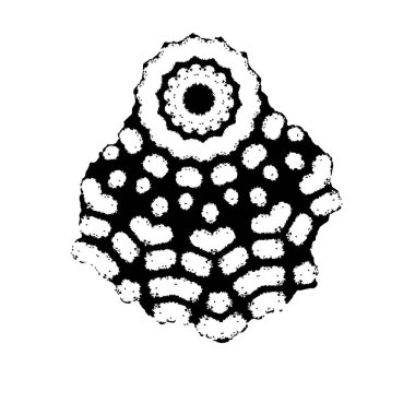 siyah ve beyaz vektör fırça darbesi. grunge dokusu