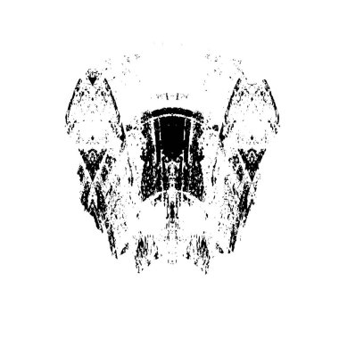 siyah ve beyaz vektör fırça darbesi. grunge dokusu