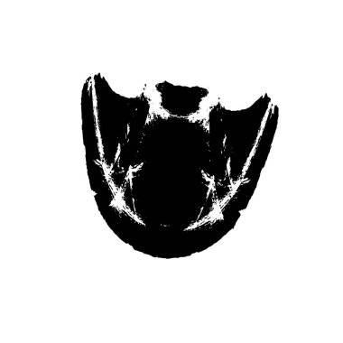 siyah ve beyaz vektör fırça darbesi. grunge dokusu