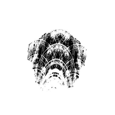 siyah ve beyaz vektör fırça darbesi. grunge dokusu