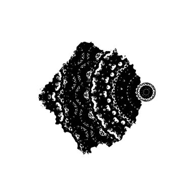 Siyah mürekkep fırça darbelerinin vektör çizimi elle boyanmış mürekkep ve beyaz arka planda siyah izole. el çizimi tasarım elemanları.