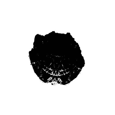 Siyah mürekkep fırça darbelerinin vektör çizimi elle boyanmış mürekkep ve beyaz arka planda siyah izole. el çizimi tasarım elemanları.