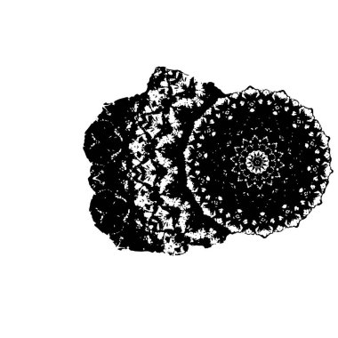 Siyah ve beyaz çiçeğin el çizimi