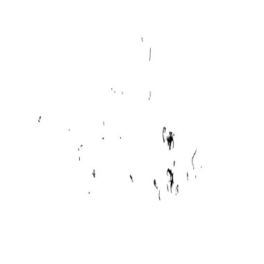 siyah ve beyaz vektör arkaplanı