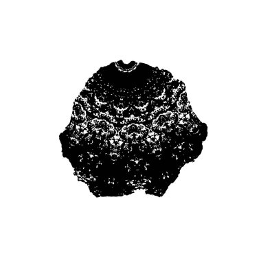 beyaz arkaplanda siyah mürekkep sıçraması.