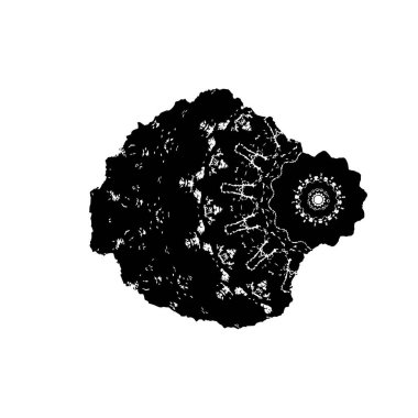 Siyah mürekkep fırça darbelerinin vektör çizimi elle boyanmış mürekkep ve beyaz arka planda siyah izole. el çizimi tasarım elemanları.