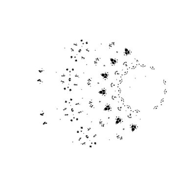 Mürekkep çiçeklerinin vektör eliyle çizilmiş hali. Çiçekli çiçek deseni.
