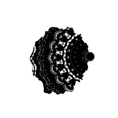 Siyah el çizimi vektör çizimi, grunge fırça darbeleri beyaz arkaplanda izole