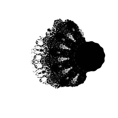 Tasarımınız için soyut siyah beyaz desen 