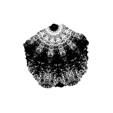 Grunge siyah vektör dokusu. Çiziklerle kaplanmış tehlike dokusu, toz örtüsü. Sıkıntı, rahatça örtüşür soyut sıkıntı, sıkıntı, gürültülü bağbozumu yaratmak