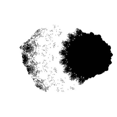 arkaplanda siyah ve beyaz fırça darbesi