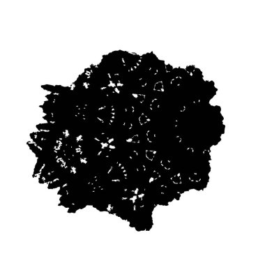 arkaplanda siyah ve beyaz fırça darbesi